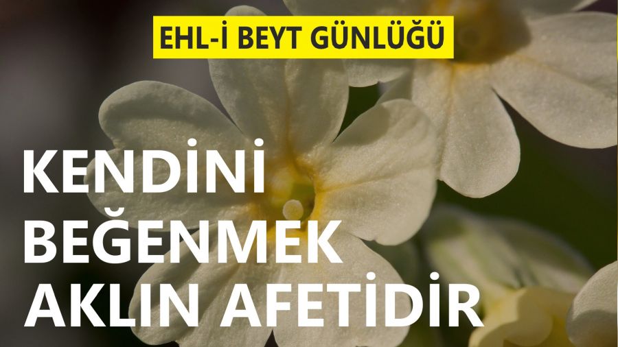 �Kendini be�enmek, akl�n afetidir�