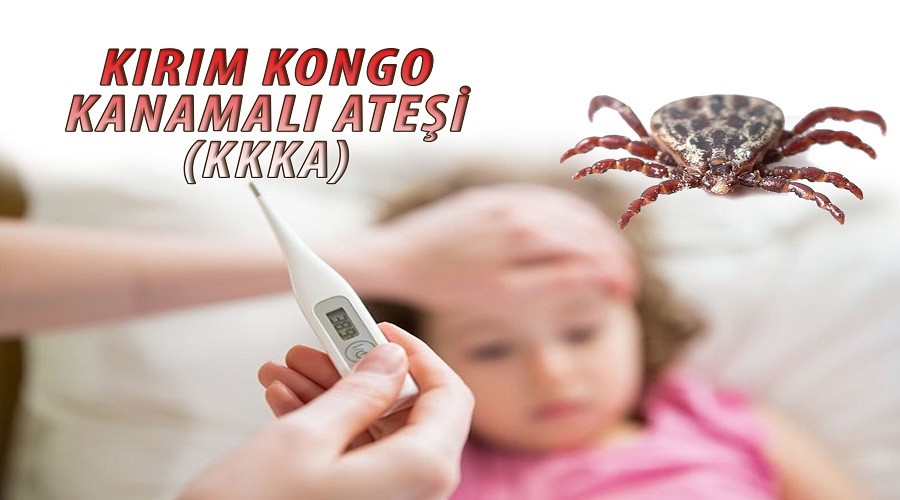 Keneye karşı "Kekik ve Lavanta Yağı"