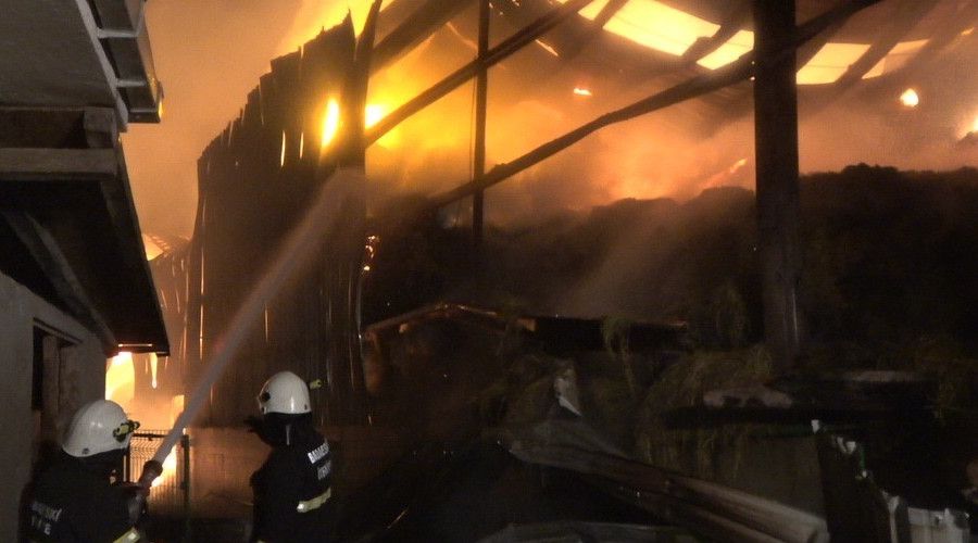 Kırklareli'nde hayvan çiftliğinde çıkan yangına müdahale devam ediyor