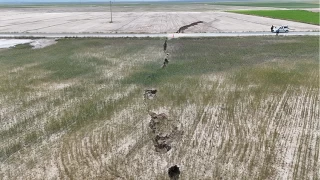  Konya'da tarla da, yol da yarıldı