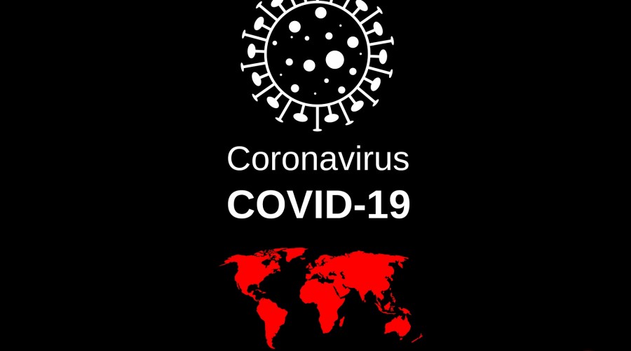 Koronavirüsün görülmediði tek yer 