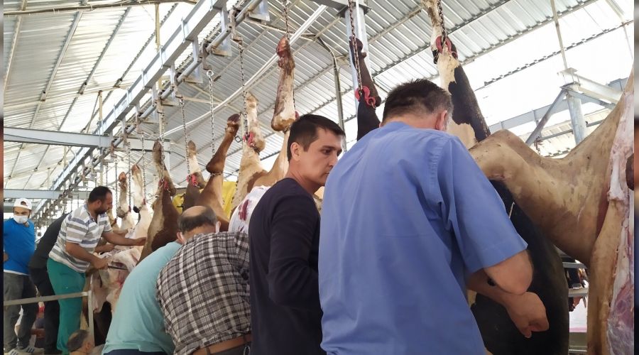 Küçükçekmece kurban gerginliği