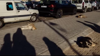 Kupaların bedelini onlar ödeyecek