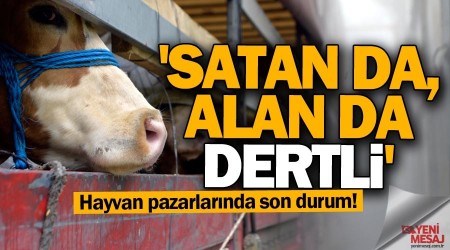 'Kurban satan da, alan da dertli'