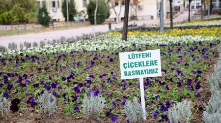 Mamak kışın da çiçek açıyor