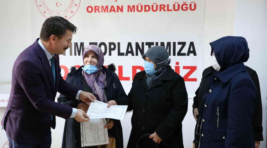 Manda sütü kadın eliyle değer kazanıyor
