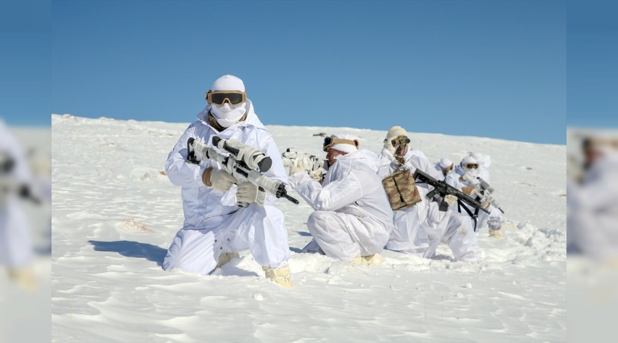 Mehmetçik'ten karlı dağlarda teröre darbe