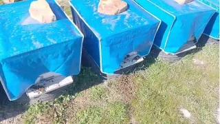 Mersin'de zamans�z zirai ila�lama ar�lar�n �l�m�ne sebep oldu