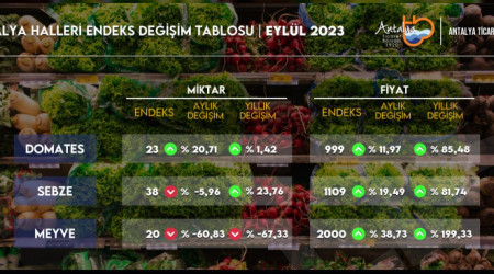 Meyvelerin yanına yaklaşan çarpılıyor