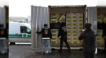 Muzların içinden kokain çıktı