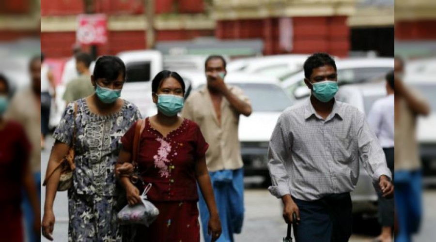 Myanmar'� domuz gribi vuruyor