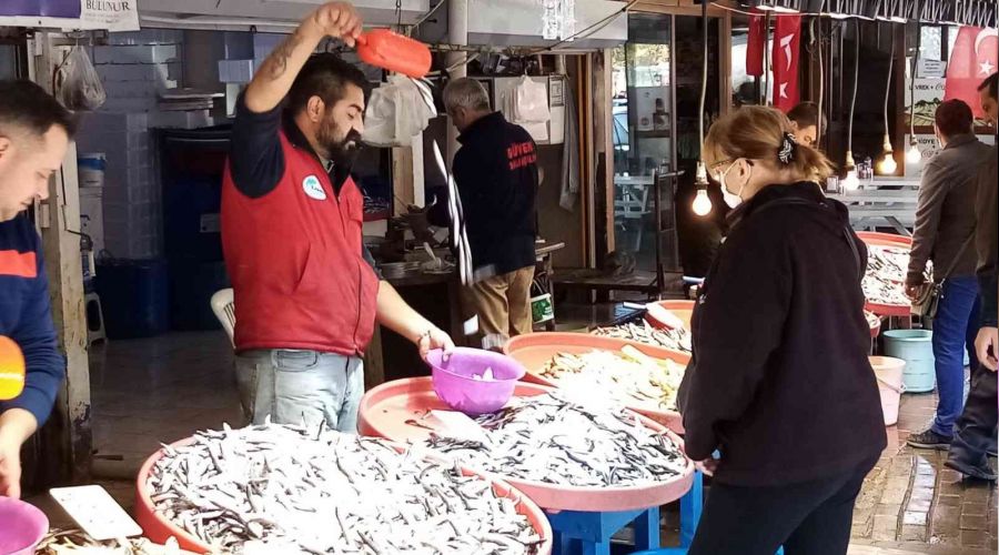 Nakliye �cretleri hamsi fiyat�n� 3 kat artt�r�yor