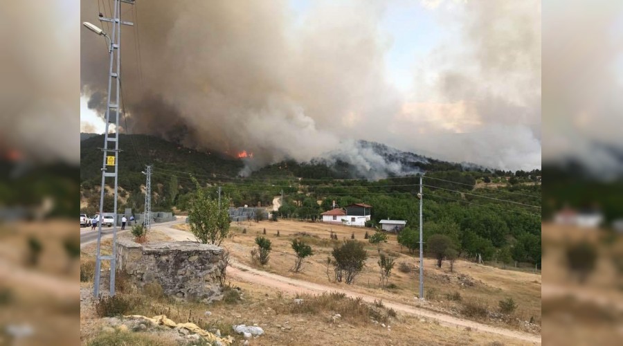 Nall�han'da orman yang�n� yeniden ba�lad�