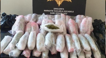 Narkotik köpeğinden kaçmadı