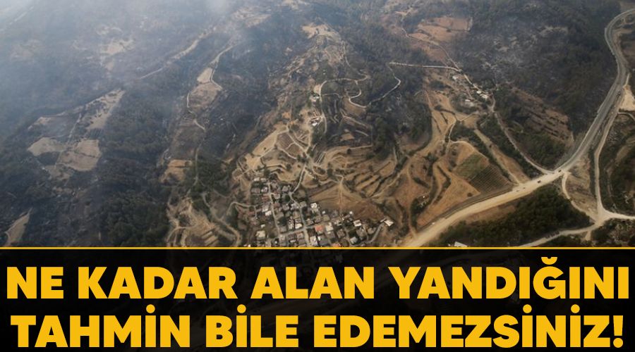 Ne kadar alan yandığını tahmin bile edemezsiniz!