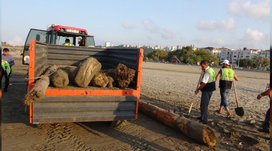 O tomruklar Samsun sahillerinde: 200 km srklendiler