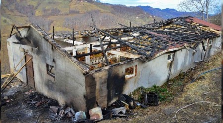 Ordu'da yangın: 400 tavuk telef oldu