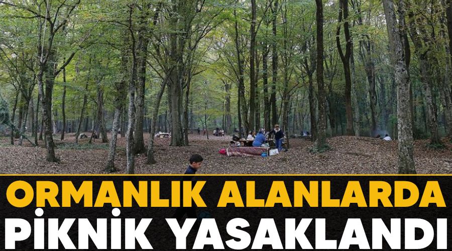 Ormanlk alanlarda piknik yasakland