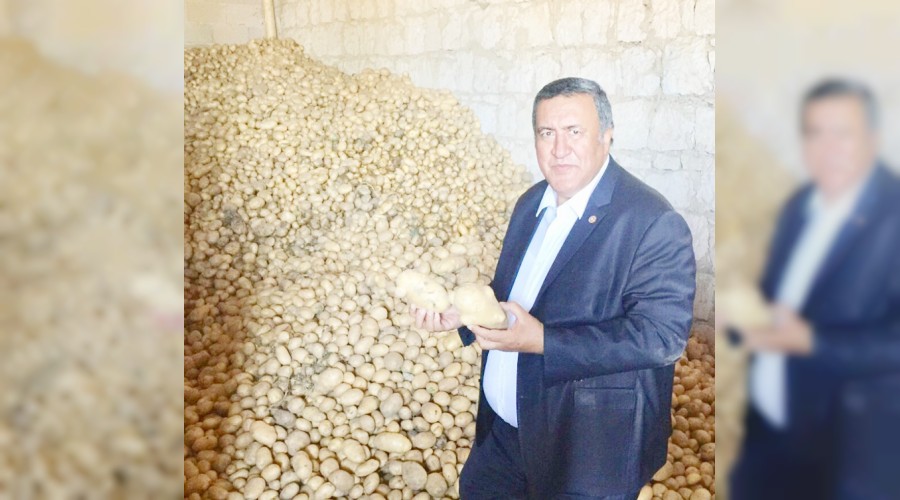 Patates depoda kald