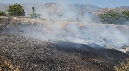 Proje çalışması için depolanan zeytin yaprakları yandı