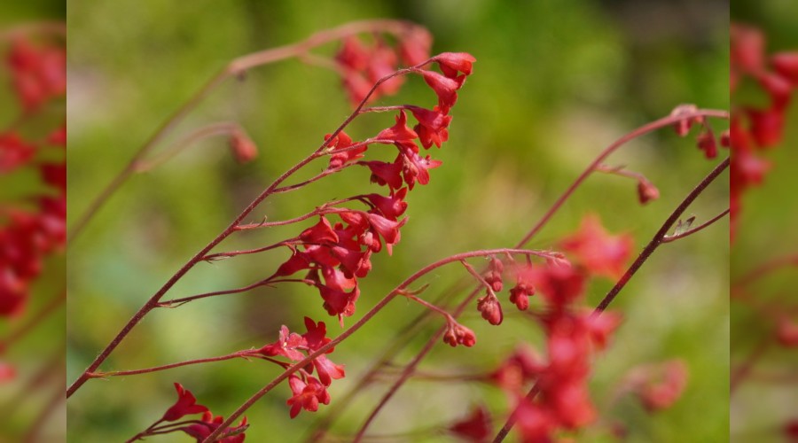 Ramazan�da ve her zaman takva