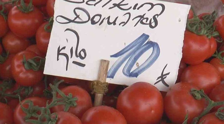 Rusya domatesi ithal edemedi, fiyatı düştü