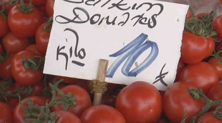 Rusya domatesi ithal edemedi, fiyatı düştü