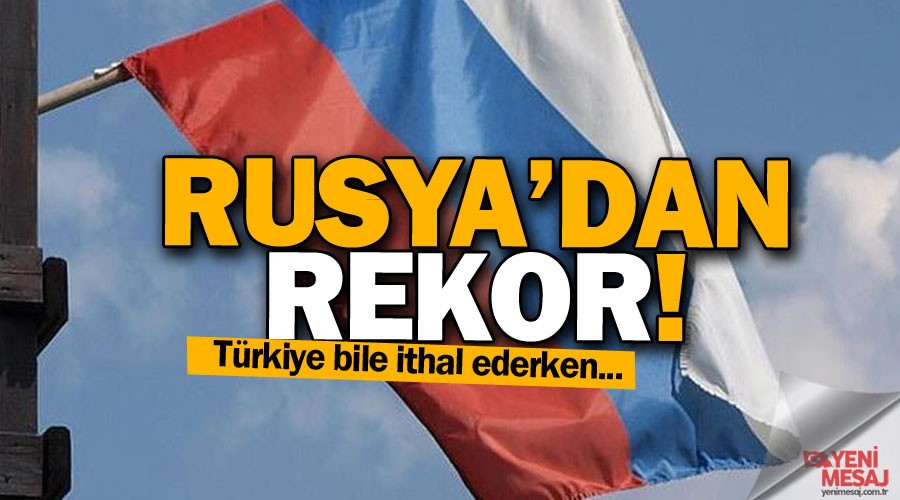 Rusya'dan buğday ihracat rekoru