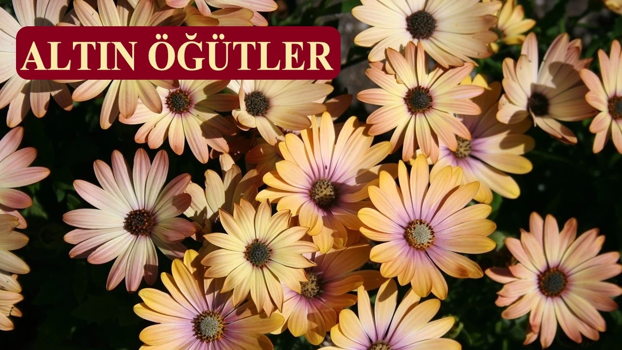 Sakın Müslümanlara su-i zanda bulunma!