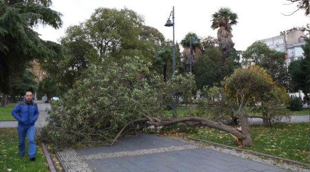 Samsun'da atlar utu, aalar devrildi