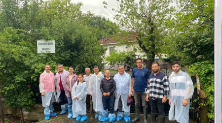 Samsun'da fındık rekolte tespit çalışmaları tamamlandı