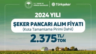 Şeker pancarında fiyat ton başına 2 bin 375 lira