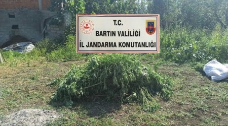 Serada uyuturucu retimi