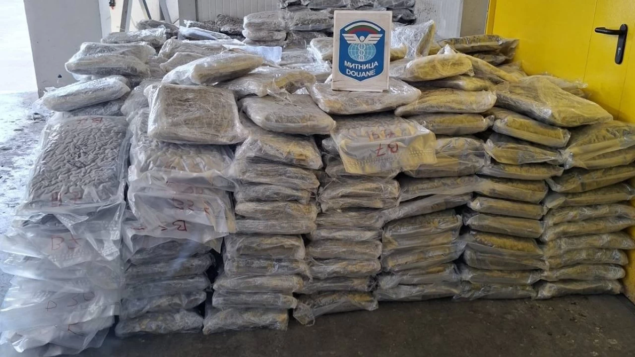Snr kapsnda 739 kilo esrar ele geirildi