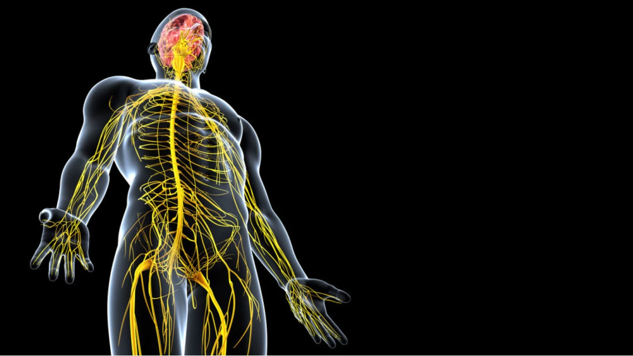 Sinir S�k��mas� G�z Ard� Edilmemeli