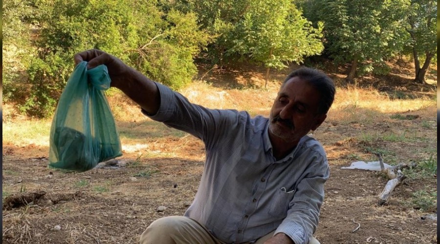 Siz yapar mıydınız?