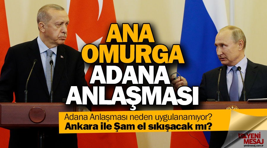 Soi'de ana omurga Adana Anlamas