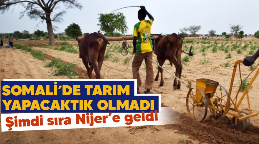 Somali'de tarım yapacaktık olmadı, şimdi sıra Nijer'e geldi!