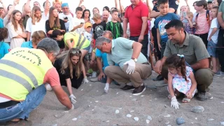 Son 30 yılın "caretta" rekoru