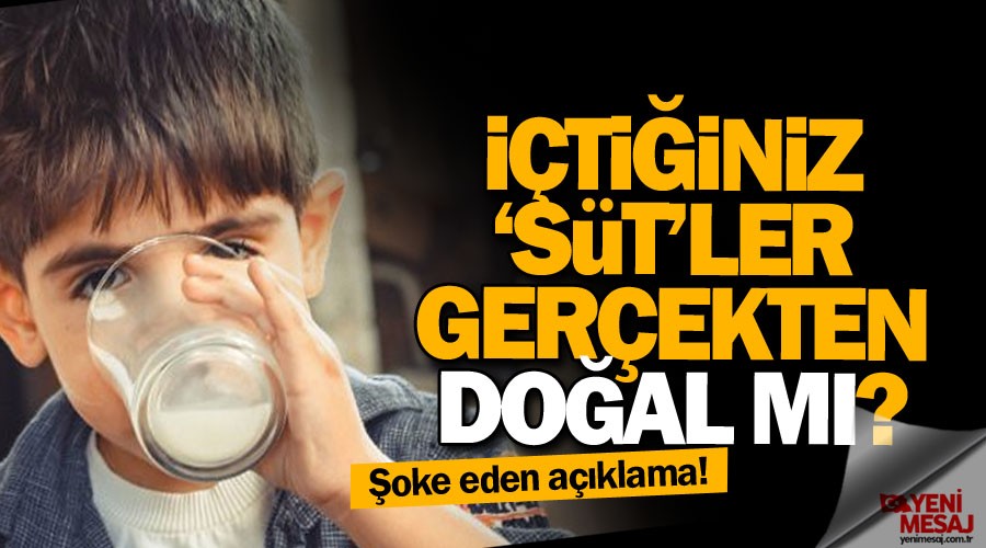 Ste dair kritik sorular!