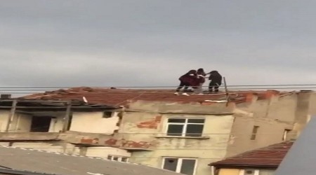 Tahmin edin ne yapıyorlar?
