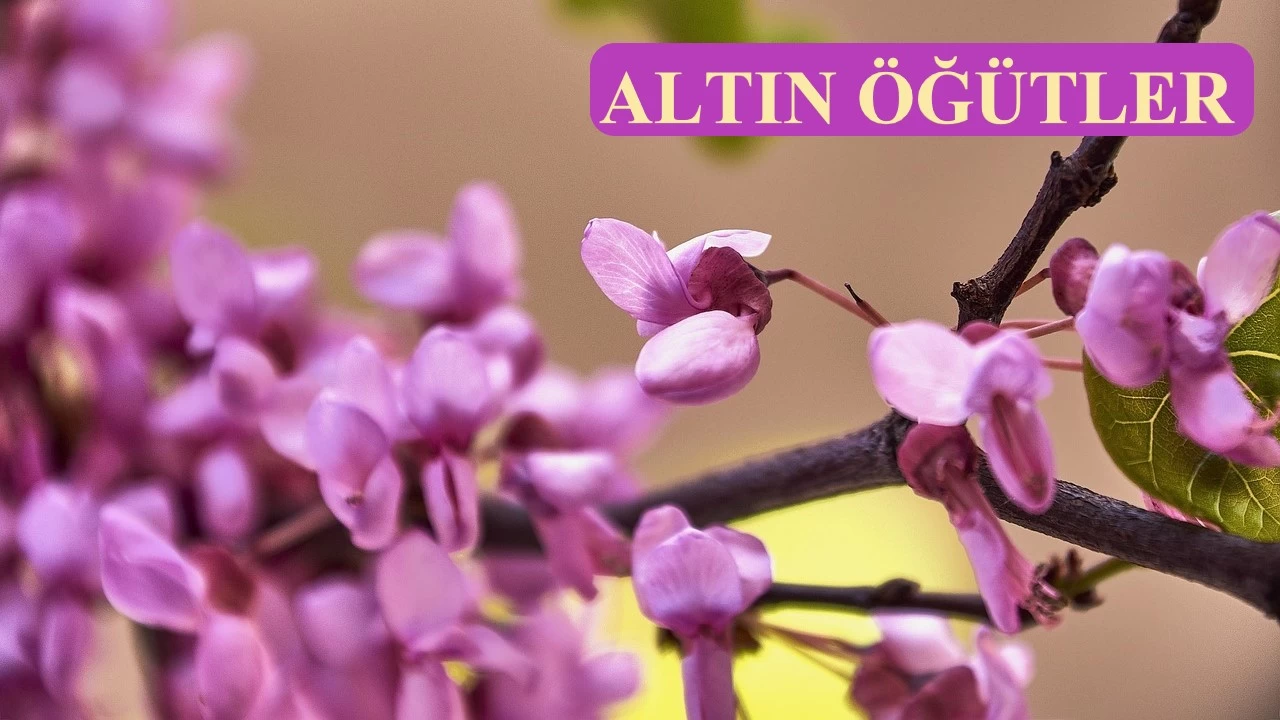 Takva ile s�slenene rahmet edilir