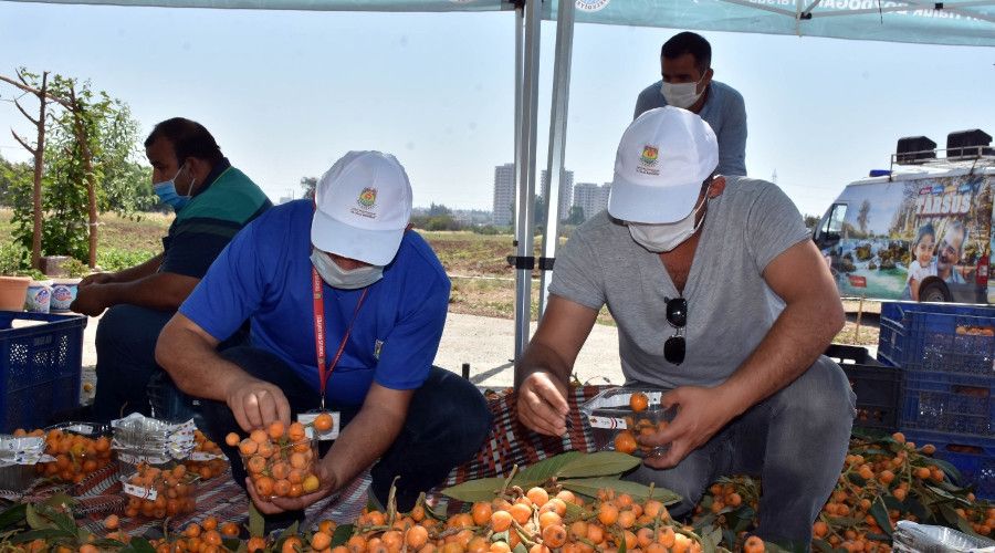 Tarsus Belediyesi, 12 ton yenid�nyay� vatanda�lara �cretsiz da��tt�