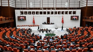TBMM'de su�a s�r�klenen �ocuklara ili�kin d�zenlemeleri i�eren kanun teklifinin g�r��melerine ba�lanacak