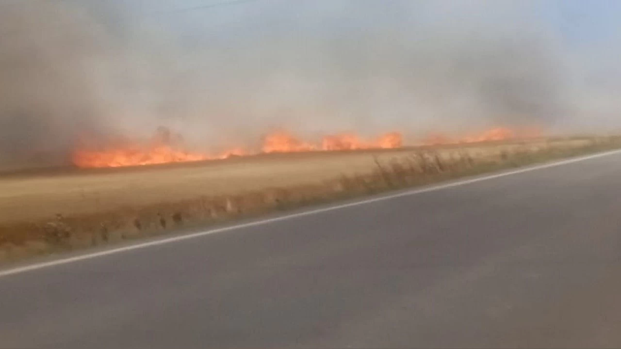 Tekirdağ'da 180 dönüm buğday tarlası yandı: 3 yaralı