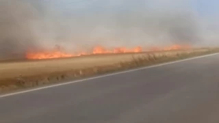 Tekirdağ'da 180 dönüm buğday tarlası yandı: 3 yaralı