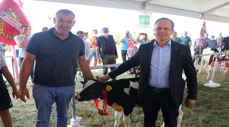 Tekirda�'�n S�leymanpa�a il�esi g�zelleri a��rlad�