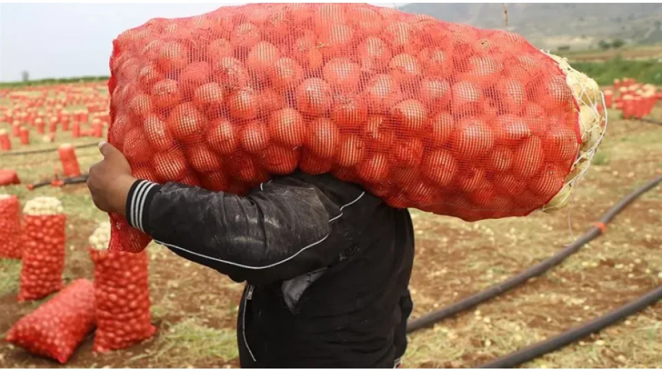 Temmuz ayında marketlerin zam şampiyonları açıklandı