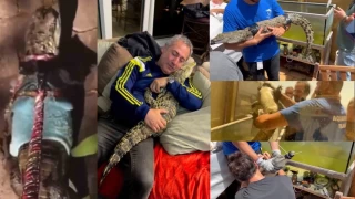 Timsahı tasma takıp gezdirdi