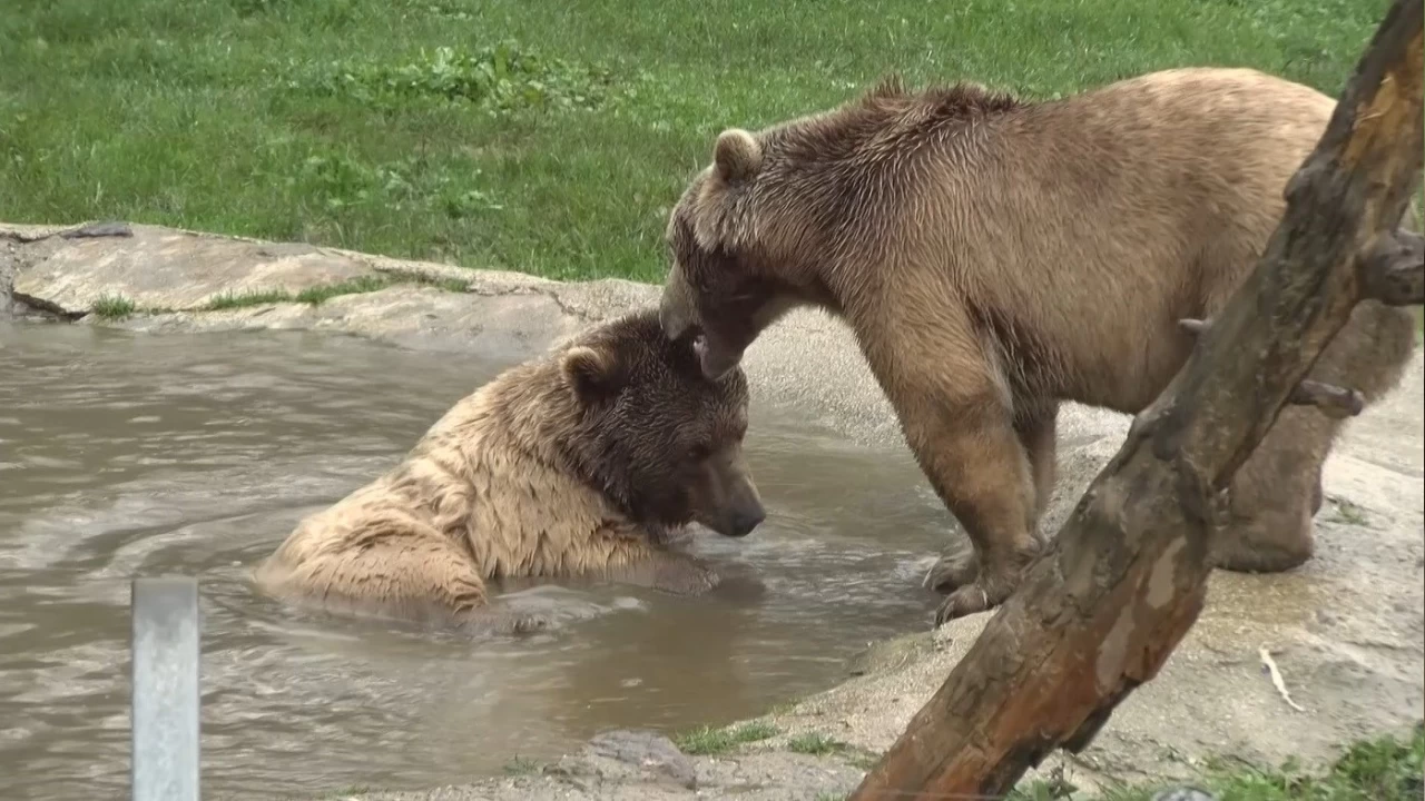 T�m d�nya uyurken onlar uyand�